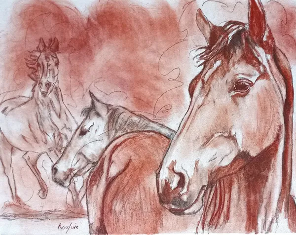 Exposition de Valérie Rouquié