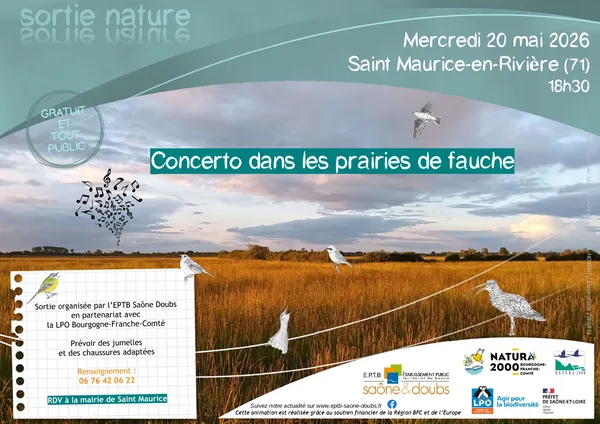 Concerto dans les prairies de fauche