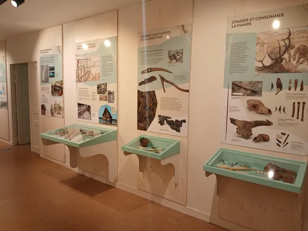 Musée archéologique
