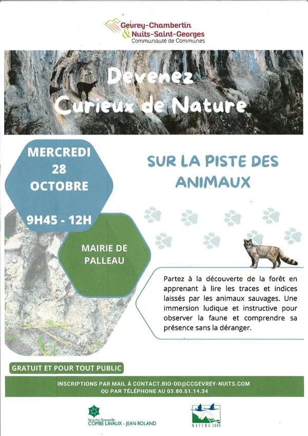 Média additionnel 1