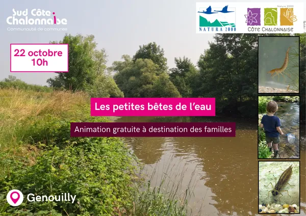 Les petites bêtes de l'eau