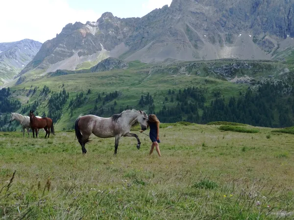La Chevauchée