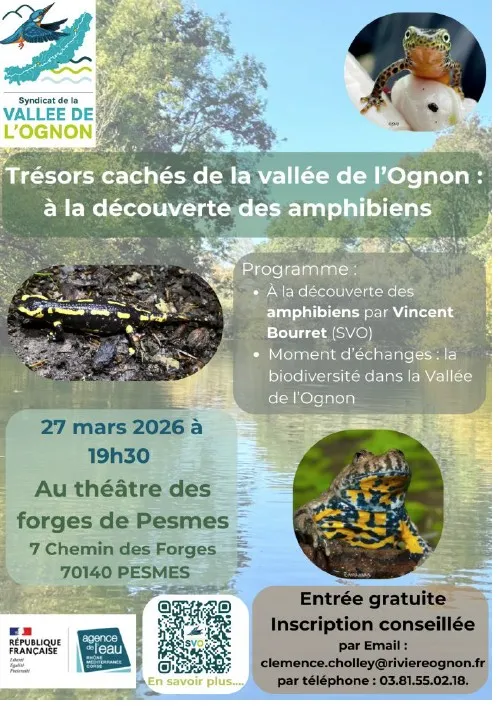 Trésors cachés de la Vallée de l'Ognon : à la découverte des amphibiens 