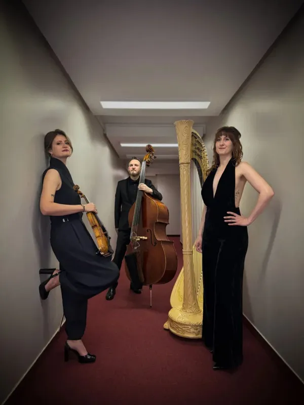 Live Strings Paris