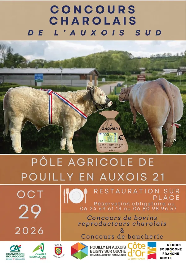 Concours Charolais de l'Auxois Sud