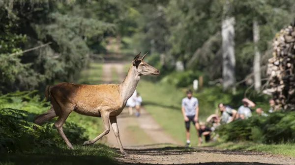 Fête de la Nature
