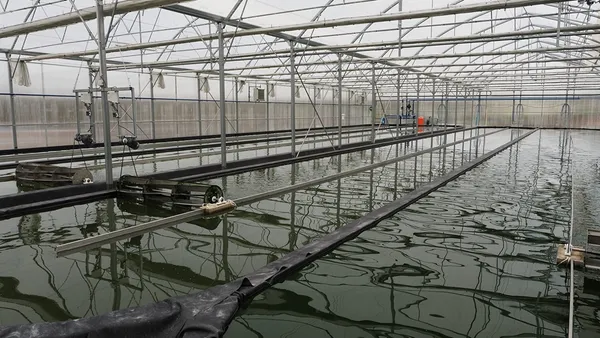 Visite ferme spiruline et méthanisation