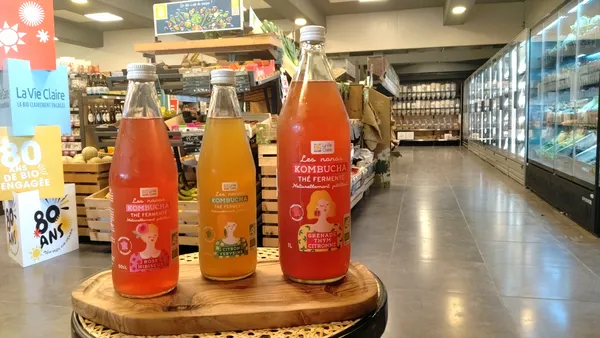 Dégustation de kombucha et kéfir