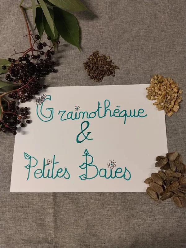 Grainothèque & petites baies