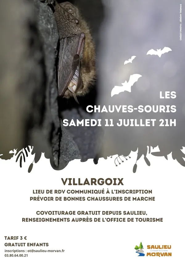 Sortie nature "A la rencontre des chauves-souris"
