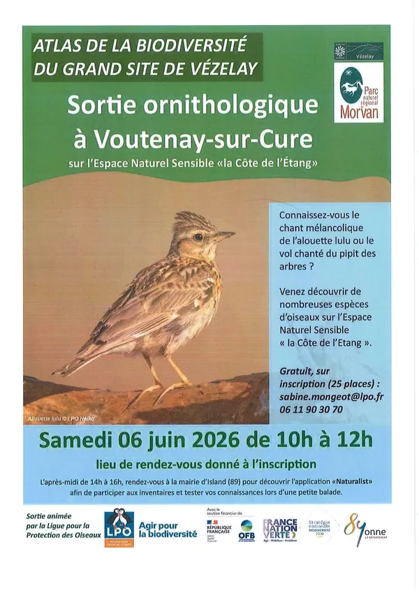 Sortie ornithologique à Voutenay-sur-Cure