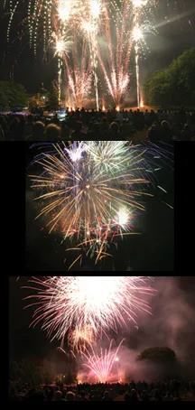 Défilé, bal et feu d'artifice ANNULE