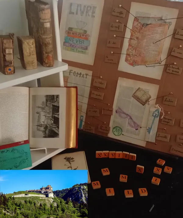 La bibliothèque au château