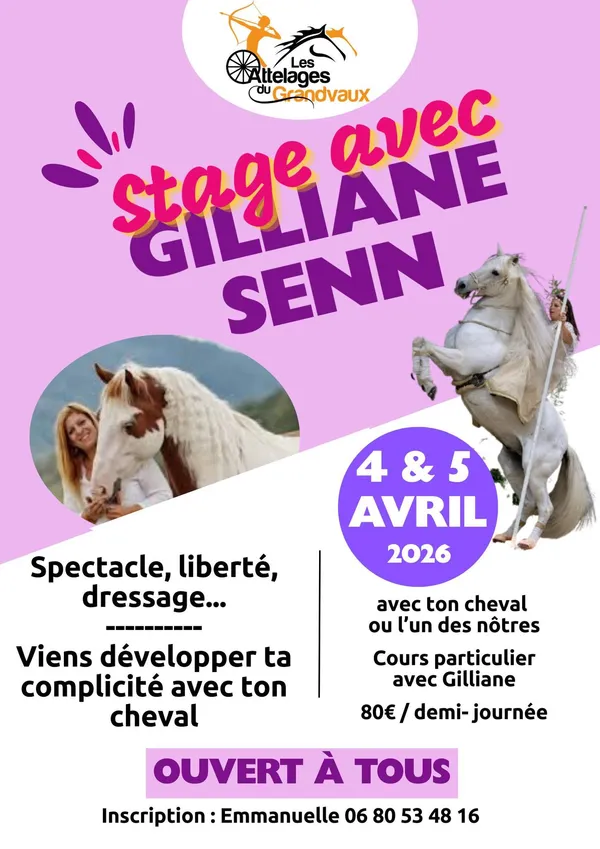 Stage équestre avec Gilliane Senn