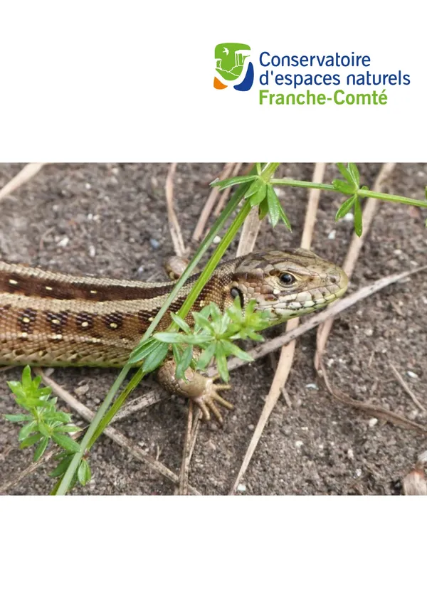 Biodiversité en Combe d'Ain, l'héritage des glaciers