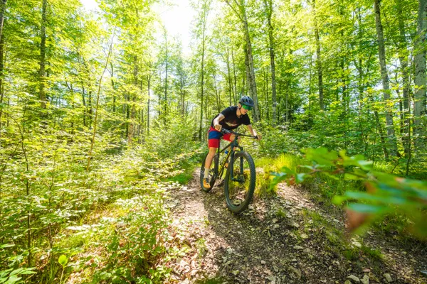 Sortie VTT gratuite avec La Forestière