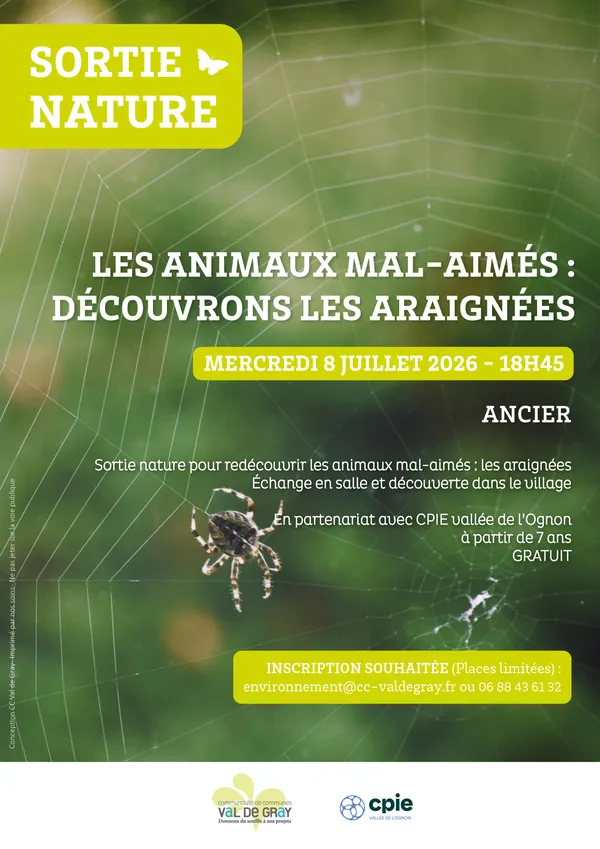 Sortie nature : Les animaux mal aimés : découvrons les araignées