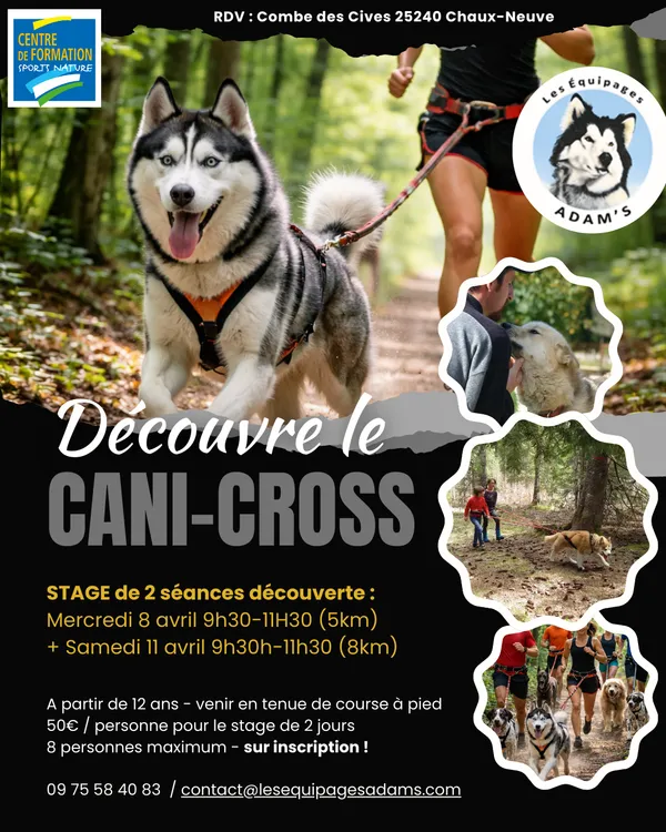 Stage de cani-cross
