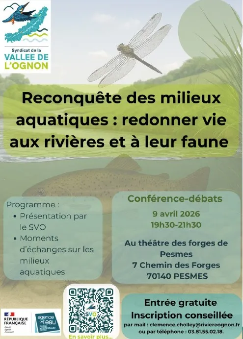 Reconquête des milieux aquatiques : redonner vie aux rivières et à leur faune