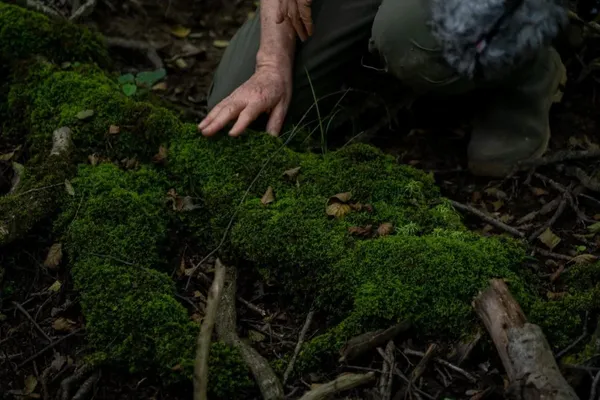 Discussion « Au-delà du champ d'arbre : un autre regard sur la forêt »