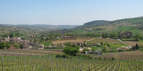 Marche gourmande : vins et gourmands en promenade