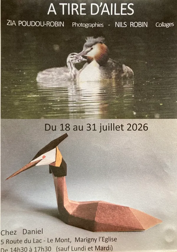 Exposition "A Tire d'Ailes"