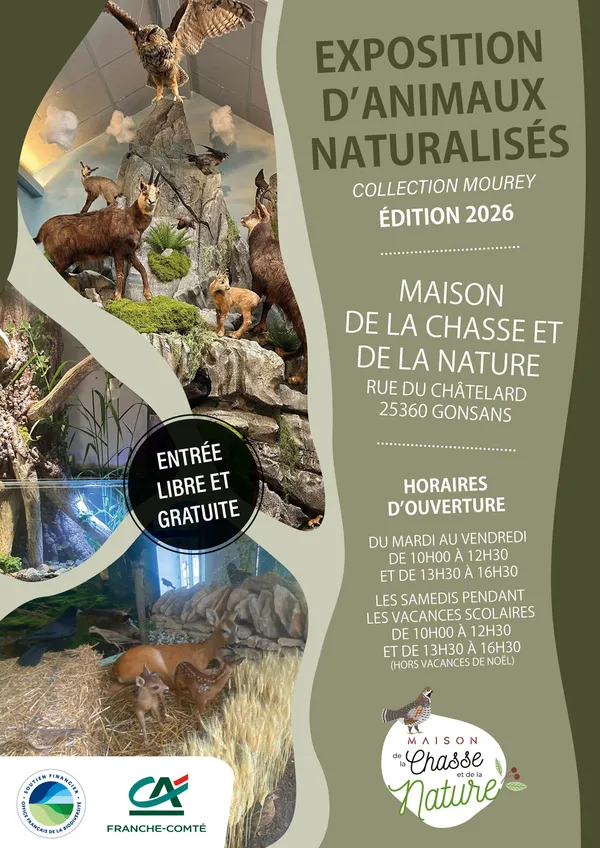 Exposition d’animaux naturalisés