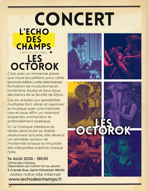 Concert "Les Octorok"
Les grands succès de la musique japonaise Manga et Jeux vidéo
