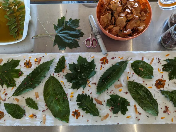 Ecoprint et Tataki-zomé - impressions de plantes sur tissu