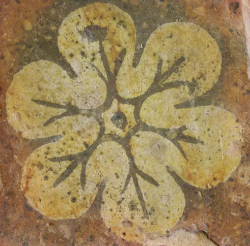 Fleur, basilic ou chevalier ? - Atelier vacances