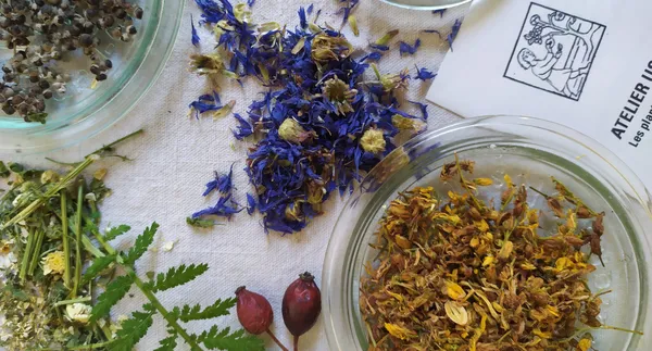 Média additionnel 2