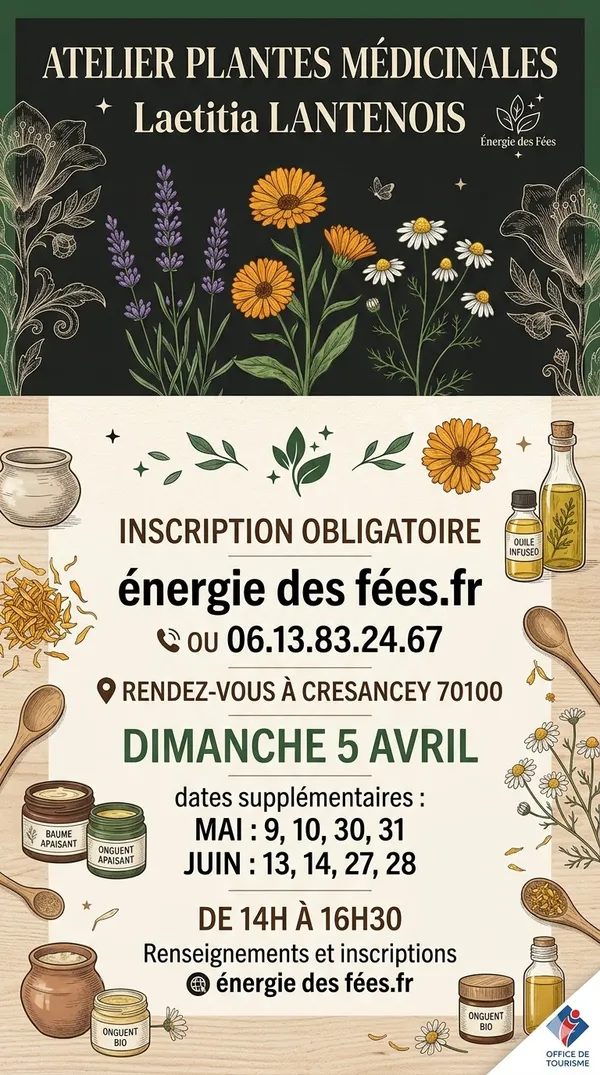 Atelier plantes médicinales