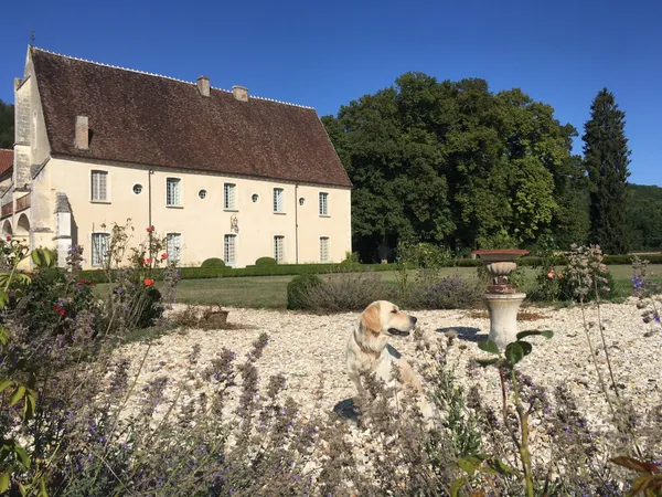Média additionnel 1