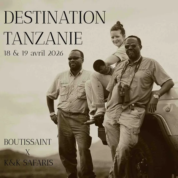 Média additionnel 1