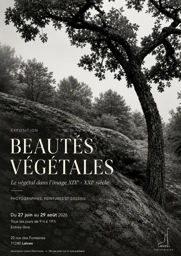 Exposition Beautés végétales