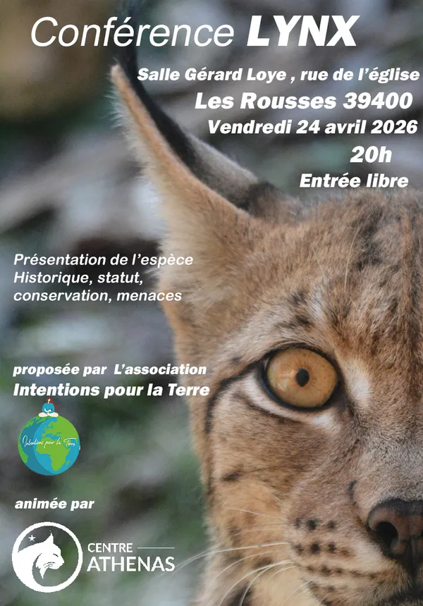 Conférence LYNX