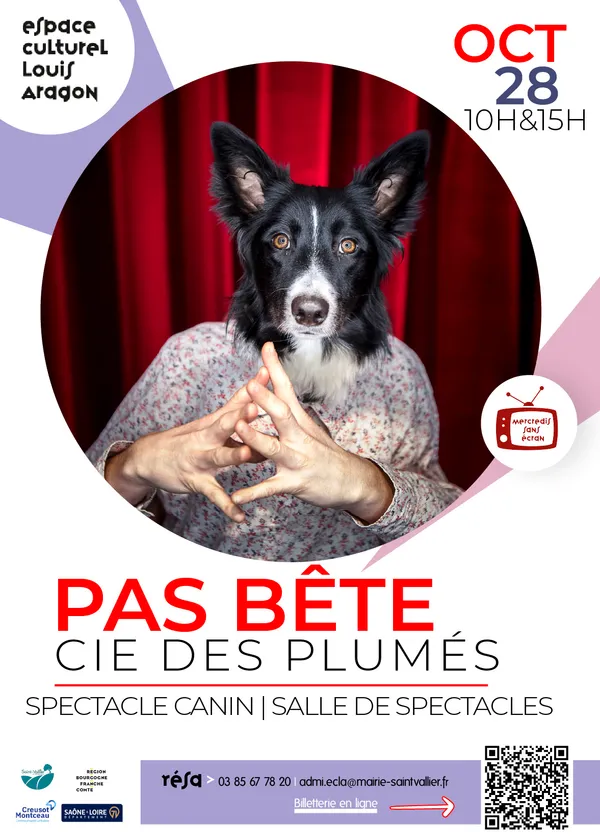 Pas Bête