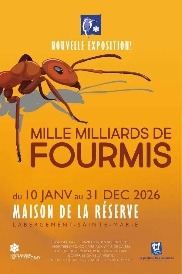 Exposition "Mille milliards de fourmis"