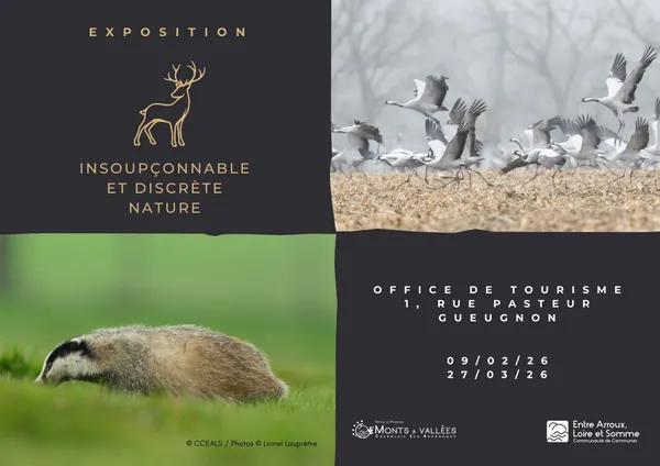 Exposition "Insoupçonnable et discrète nature"
