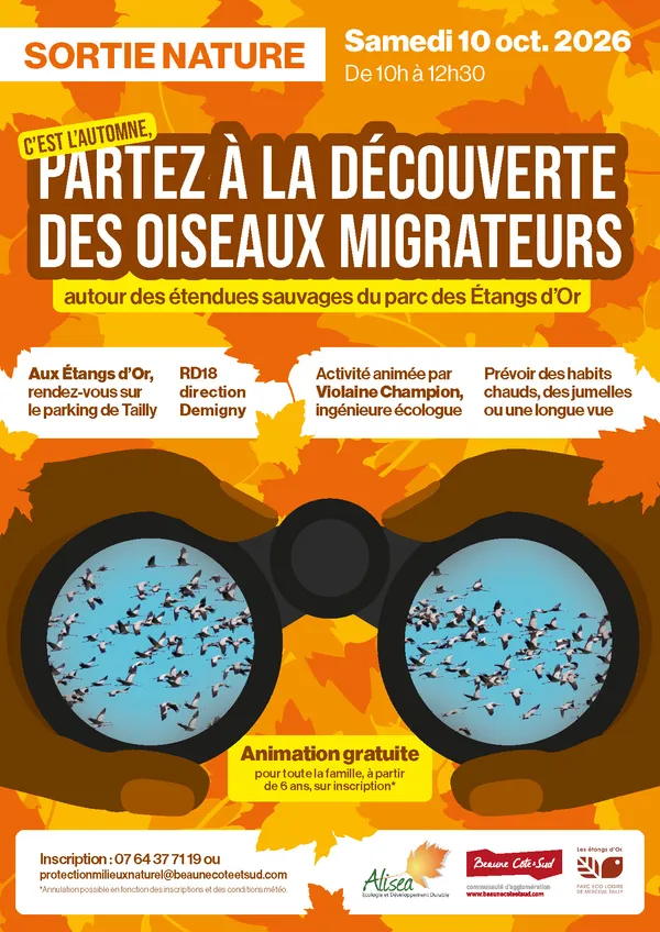 Partez à la découverte des oiseaux migrateurs