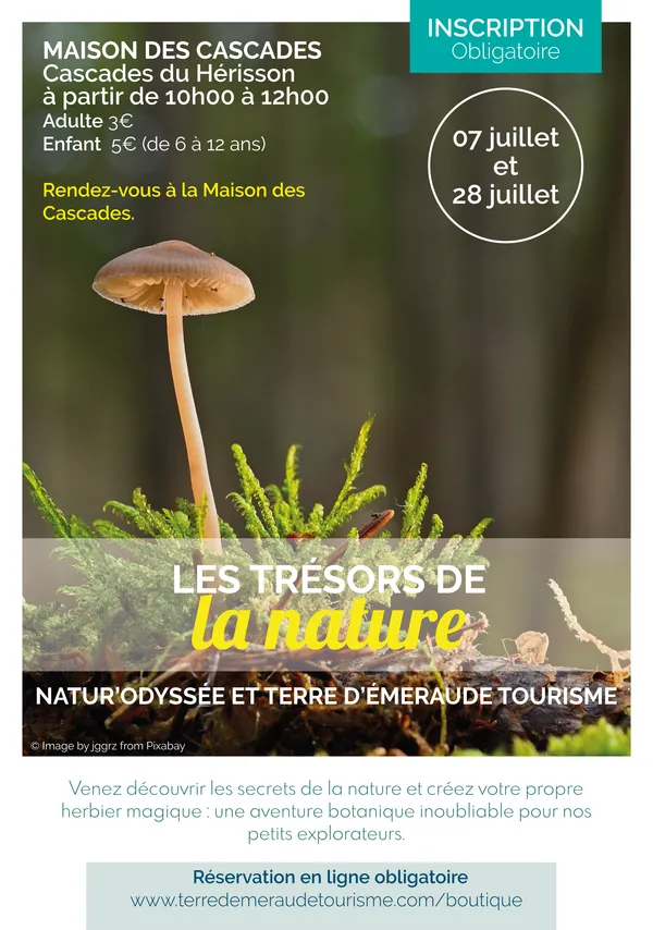 Les Trésors de la nature aux Cascades du Hérisson