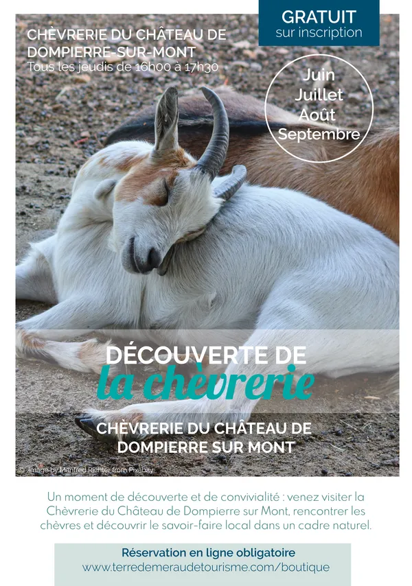 Visite de la chèvrerie du Château de Dompierre - Jeudi