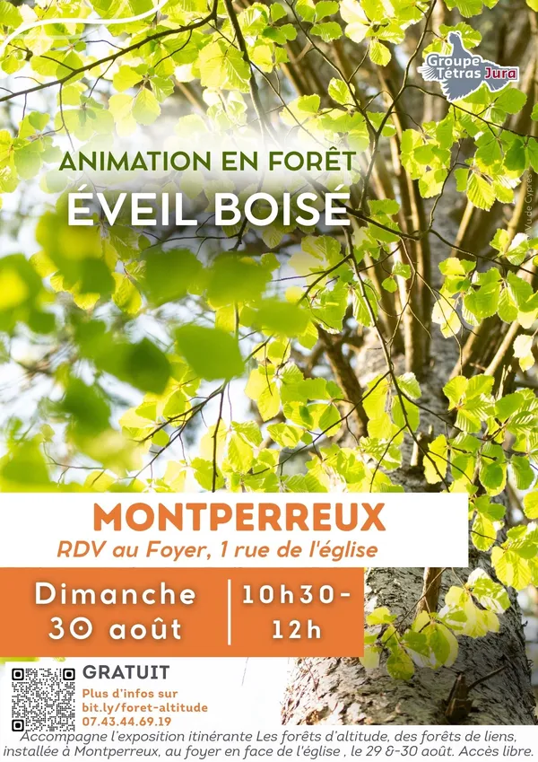 Les forêts d'altitude, des forêts de liens : Animation L'éveil boisé