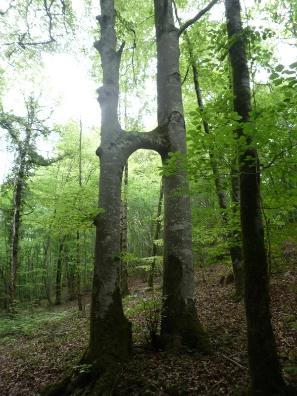 Média additionnel 4