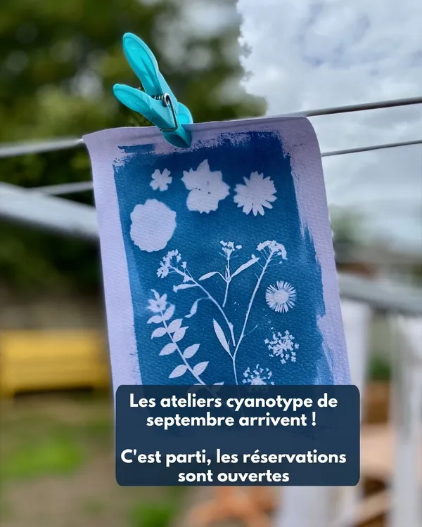 Ateliers creatifs cyanotypes