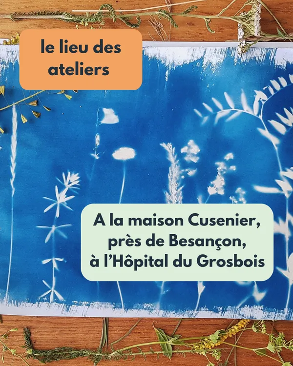 Média additionnel 3