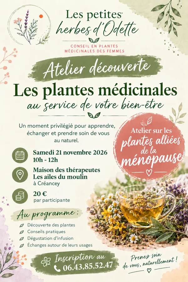 Atelier découverte des plantes médicinales alliées de la ménopause