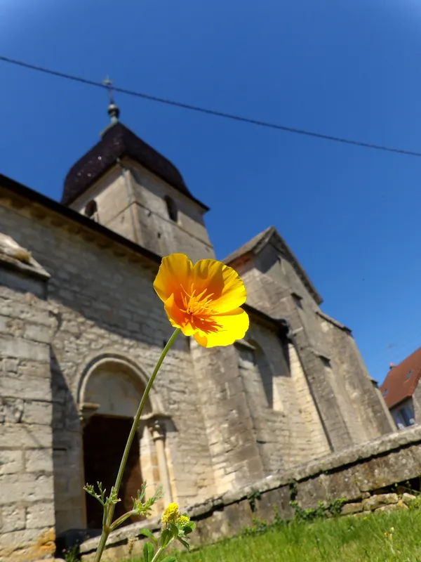 Journées du Patrimoine visite commentée du village