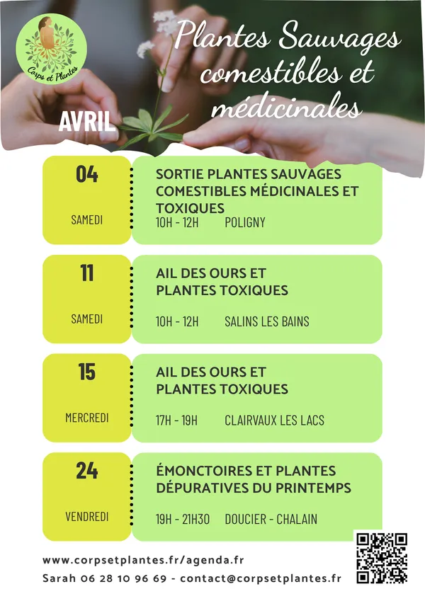 Ail des Ours et plantes toxiques