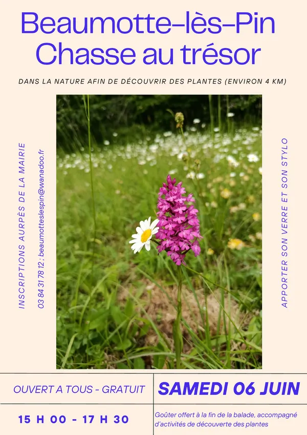 Chasse au trésor